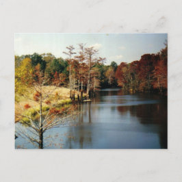 Otoño en el Bayou Tarjeta postal