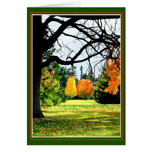 Otoño En El Parque (Frente)