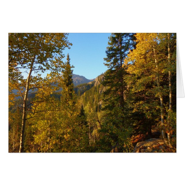 Otoño en el sendero hacia Dream Lake (Anverso (Horizontal))