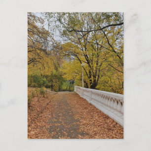 Otoño en el viejo parque. Tarjeta postal