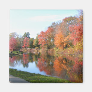 Otoño en imán del ~ de Nueva Inglaterra 54