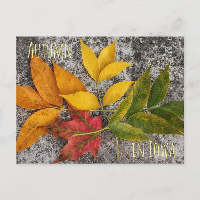 Otoño en la postal de Iowa (Anverso)