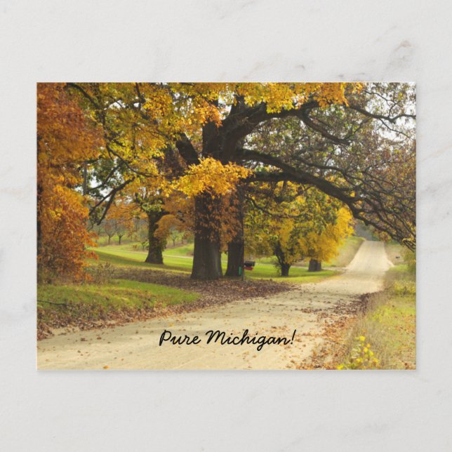 Otoño en la postal de Michigan (Anverso)