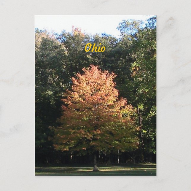 Otoño en la postal de Ohio (Anverso)