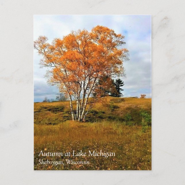 Otoño en la postal del lago Michigan (Anverso)