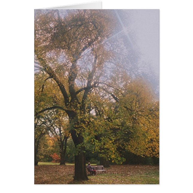 Otoño en Melbourne (Frente)