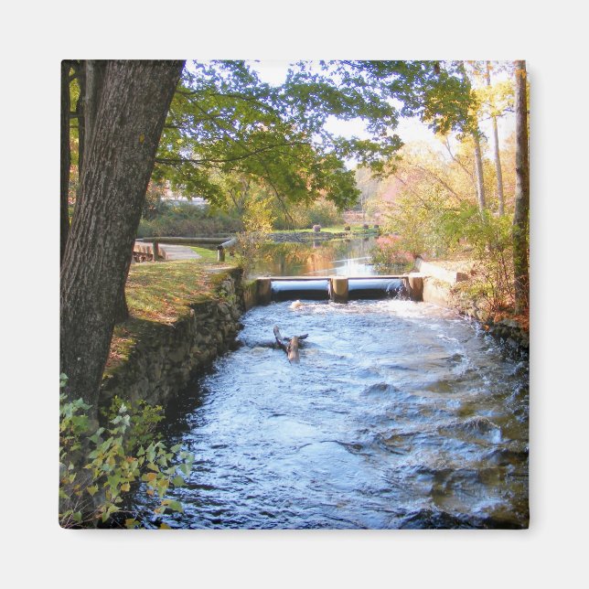 Otoño en Nueva Inglaterra 47 ~ imán (Frente)