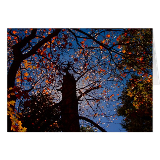 Otoño en Nuevo México (Anverso (Horizontal))