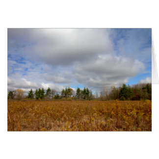 Otoño En Ohio