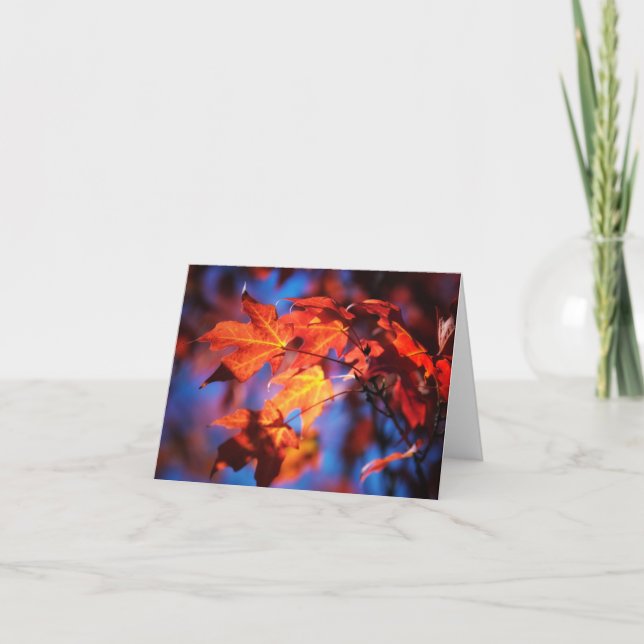 Otoño en tarjeta de nota de Iowa (Anverso)