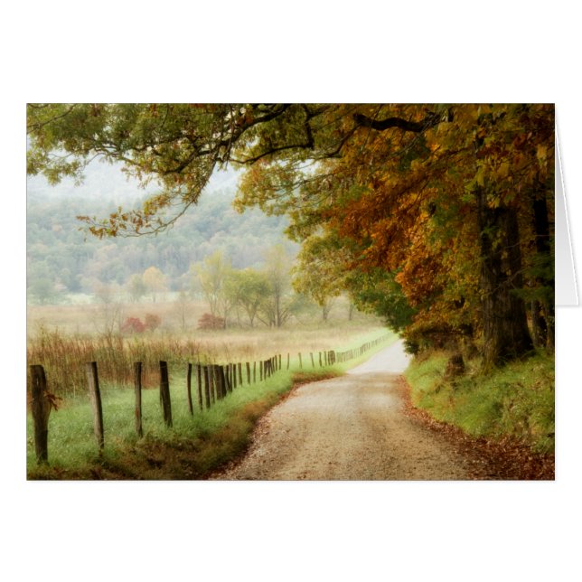 Otoño en una carretera rural (Anverso (Horizontal))