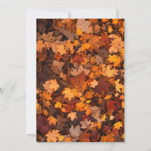 otoño-follaje-111315 OTOÑO DEJA COLORES ATRÁS