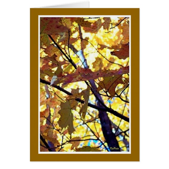 Otoño Golds (Frente)