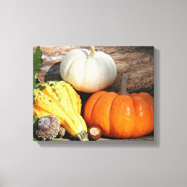 Otoño Gourds Cae Láminas De Arte Decorativo (Anverso)