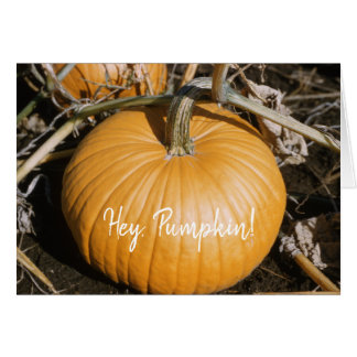 Otoño Gran Naranja HALLOWEEN Calabaza Caída Squash