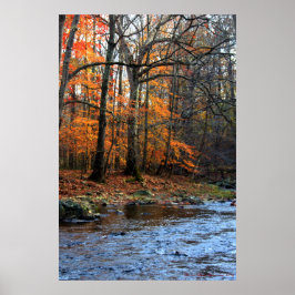 Otoño junto al arroyo impresión #154
