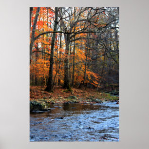 Otoño junto al arroyo impresión #154