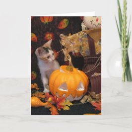 Otoño - La tarjeta de saludo de gatitos de Hallowe