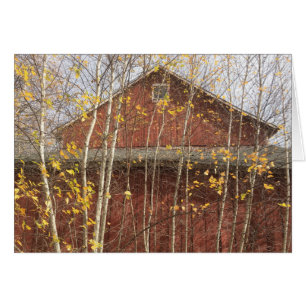 Otoño New England Barn