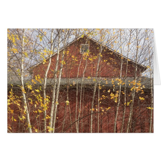 Otoño New England Barn (Anverso (Horizontal))