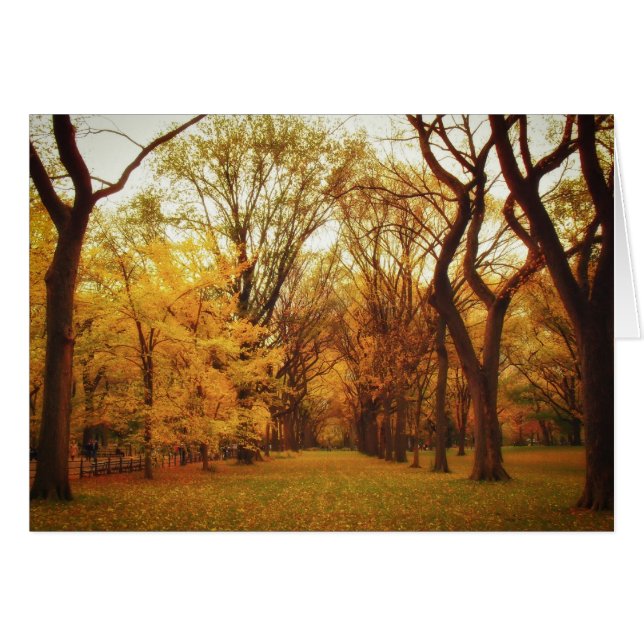 Otoño - Nueva York (Anverso (Horizontal))