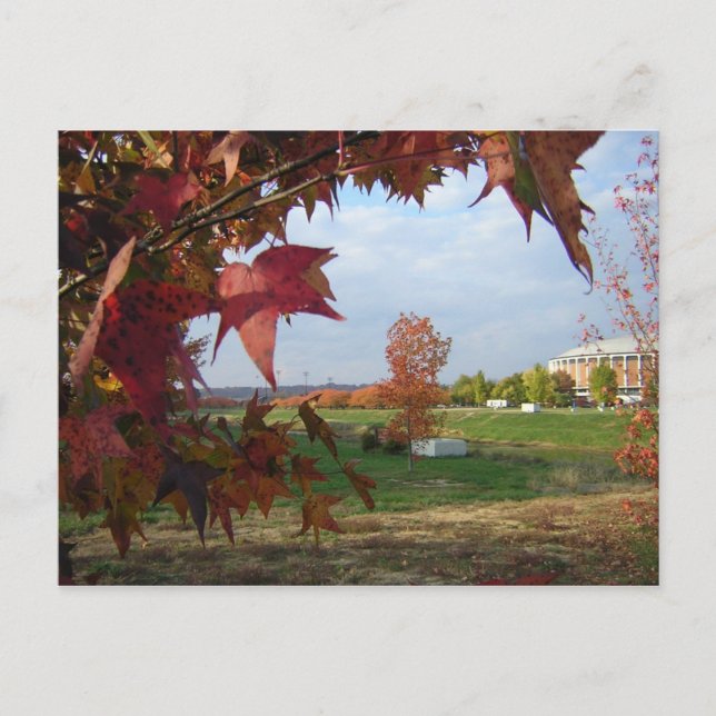 Otoño por la postal de Convo (Anverso)