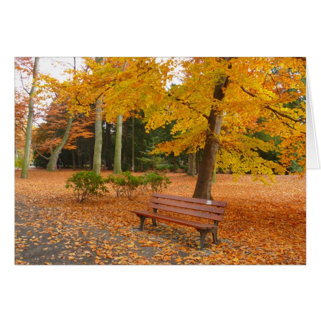 Otoño tranquilo y tranquilo en el parque (Anverso (Horizontal))