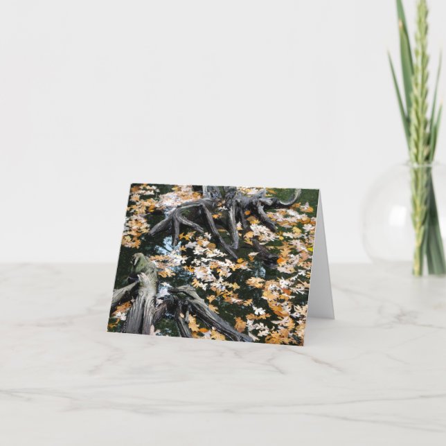 Otot Otter Pond of Leaves (Anverso)