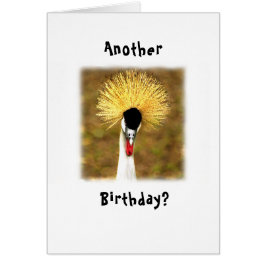 ¿Otro cumpleaños? ¡Wow! Tarjeta para ciudadano may