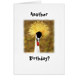 ¿Otro cumpleaños? ¡Wow! Tarjeta para ciudadano may