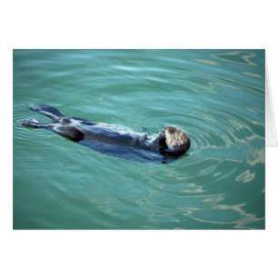 Otter de la Bahía de Monterey