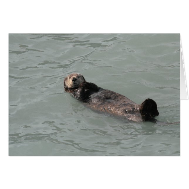 Otter marino (Anverso (Horizontal))
