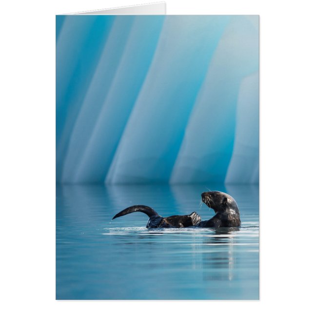 Otter marino lúdico (Frente)