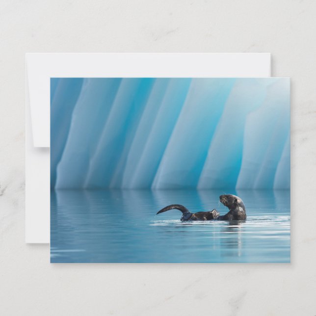 Otter marino lúdico (Anverso)