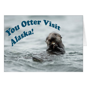 Otter Visita Alaska