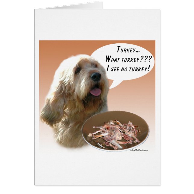 Otterhound Turquía (Frente)