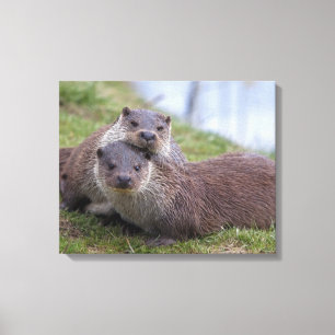 Otterly en amor envolvió la impresión de la lona
