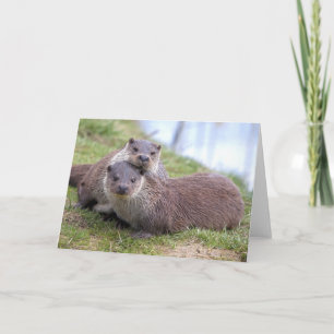 Otterly en tarjeta del amor