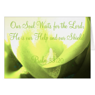 Our Soul Waits for the Lord