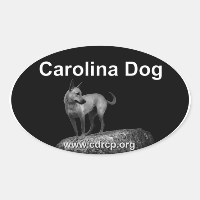 Ovalada Carolina Dog Pegatina (Anverso)