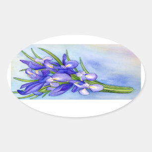 Ovalada Iris Bouquet Pegatina de pintura de flores