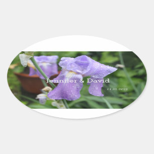Ovalada Iris. Pegatina rectangular