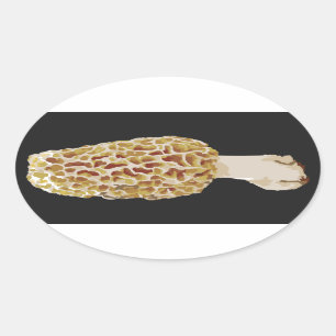 Ovalada Oval Pegatina Morel Morchella esculenta amarillo