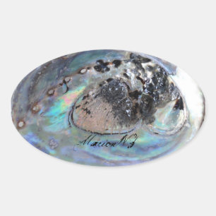 Ovalada Paua Pegatina