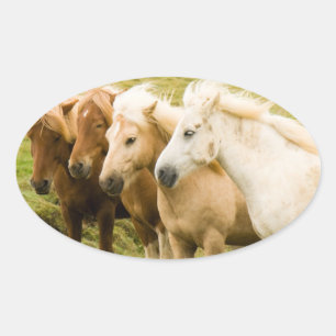 Ovalada Pegatina de caballos