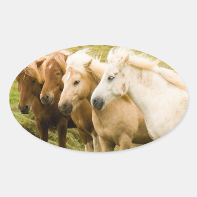 Ovalada Pegatina de caballos (Anverso)