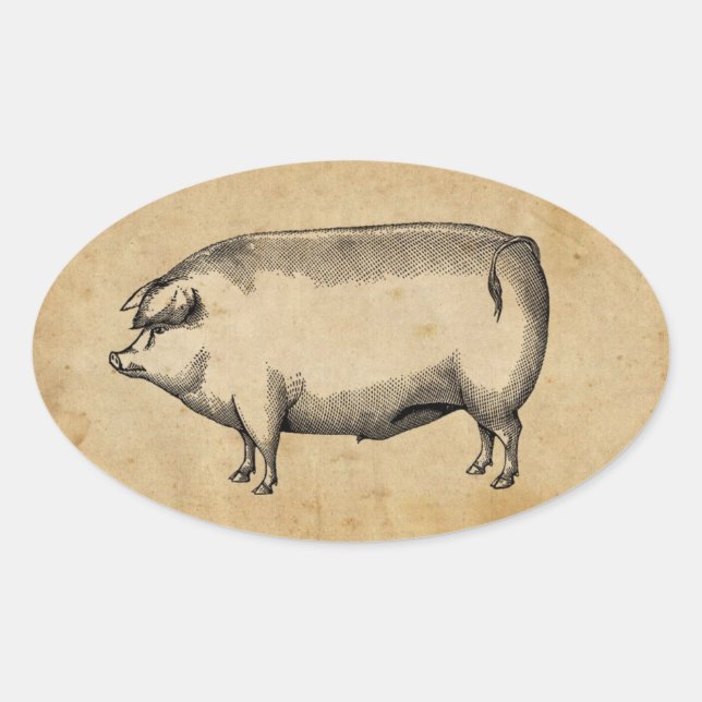 Ovalada Pegatina de cerdo de vintage (Anverso)