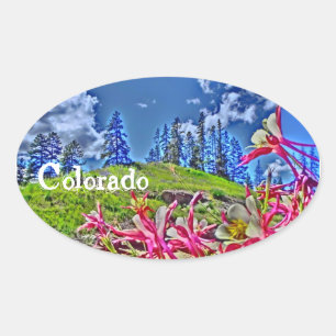 Ovalada Pegatina de Colorado Columbine