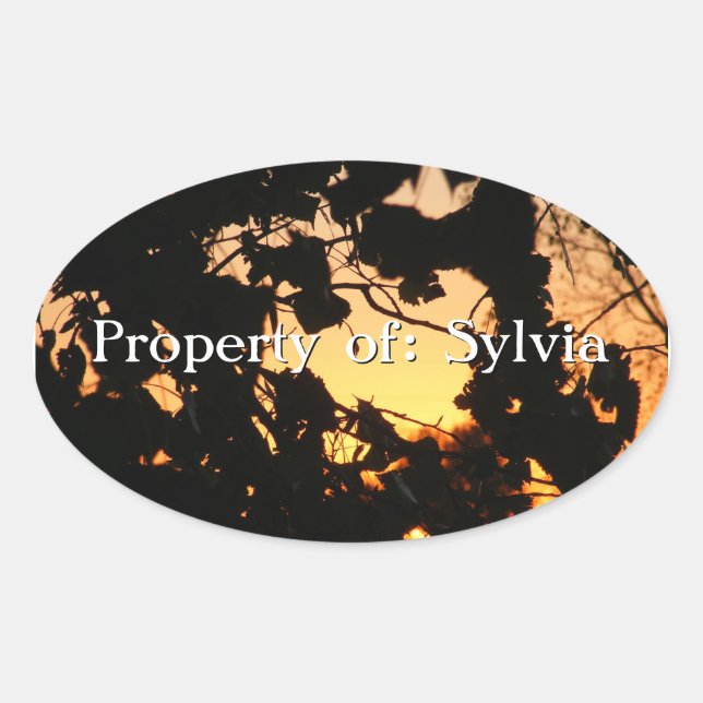 Ovalada Pegatina de hojas de sol (Anverso)