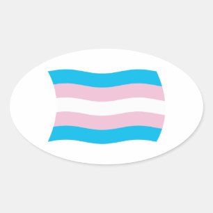 Ovalada Pegatina de la bandera del orgullo transgénero
